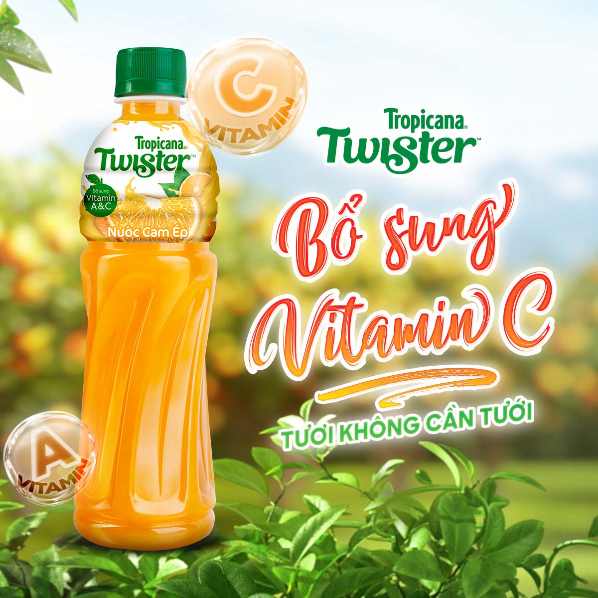 Thùng 24 Chai Nước Trái Cây Twister Cam (320ml /chai)