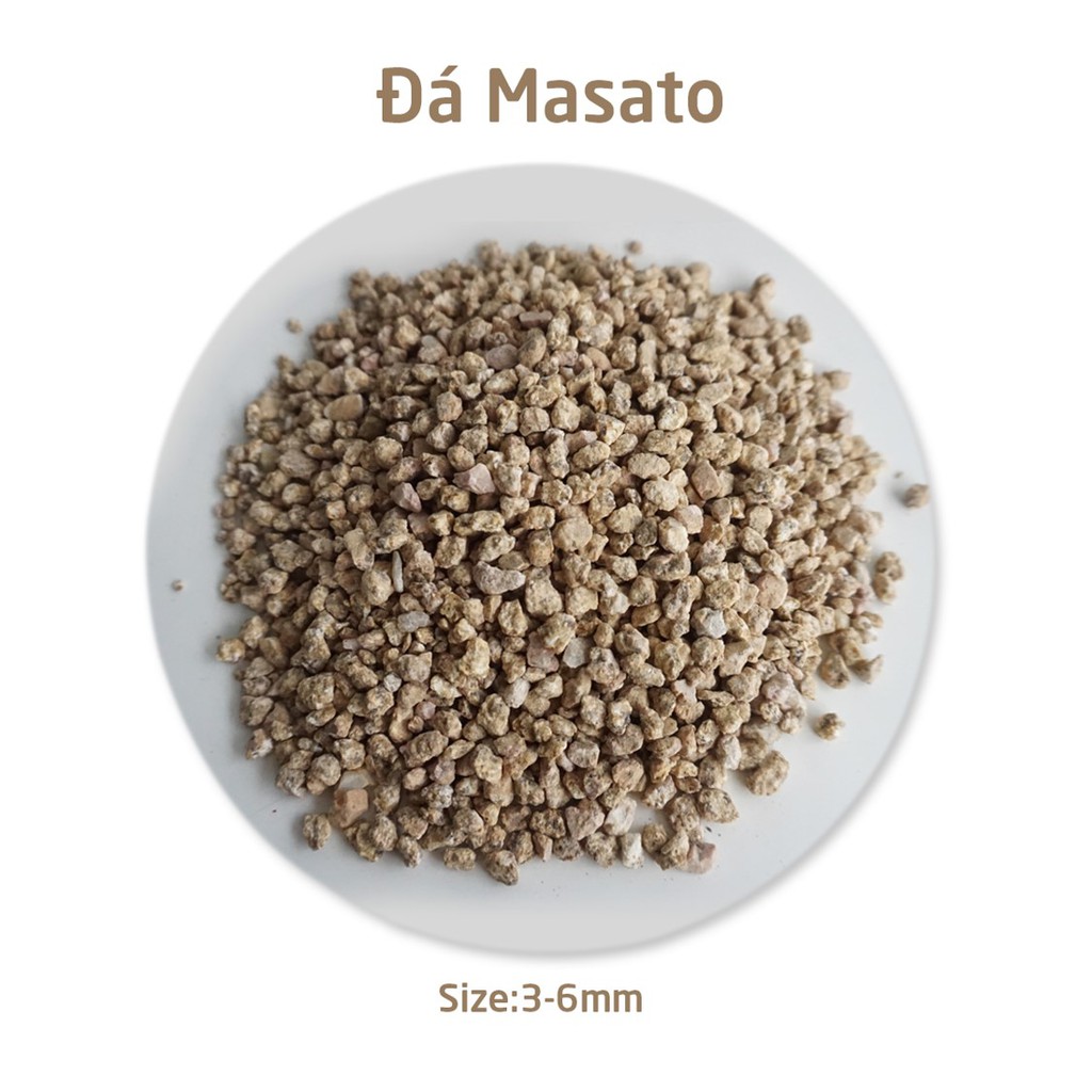 ĐÁ MASATO GIỮ MÀU SEN ĐÁ 1kg