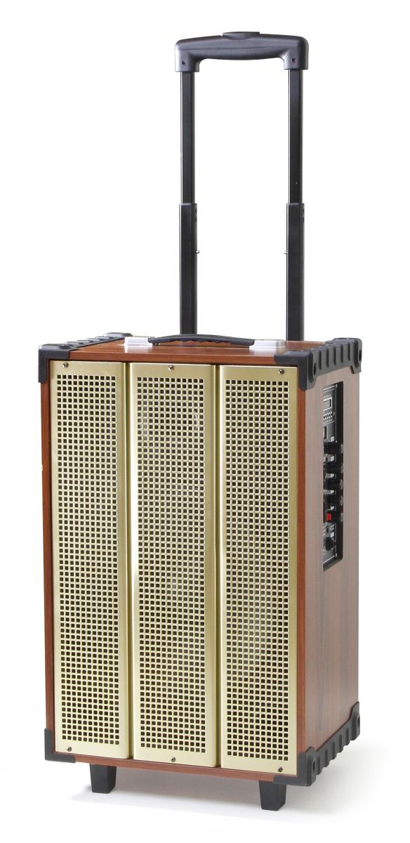 Loa kéo Bluetooth di động Arirang MKS1