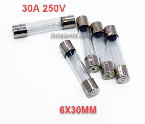10 cái cầu chì ống 30a 250v 6x30mm