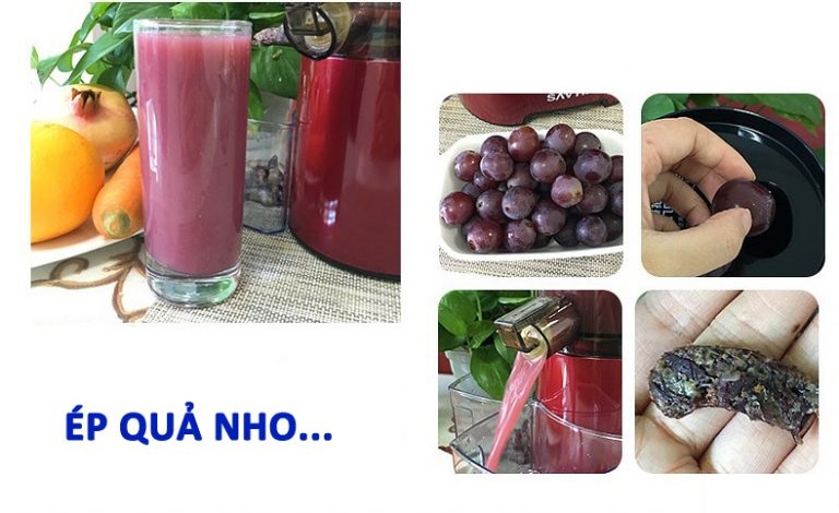 Máy ép trái cây tốc độ chậm SAVTM JE-007