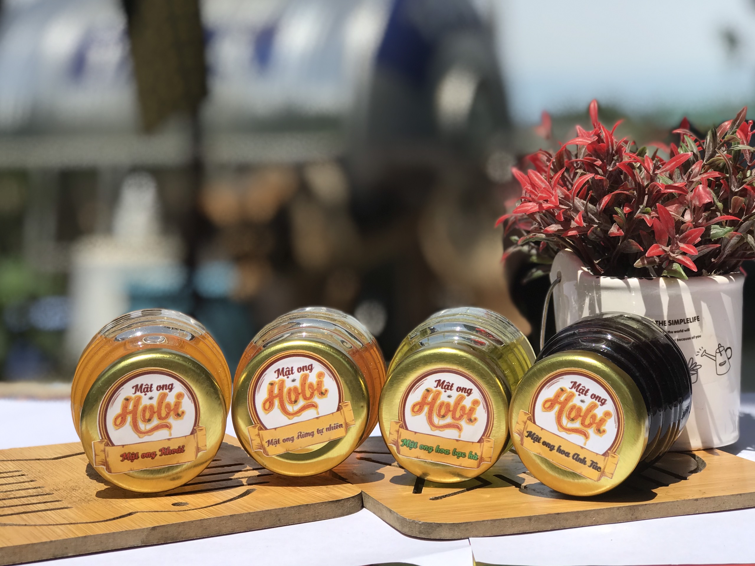 Mật ong Hoa Bạc Hà Hobi 100ml
