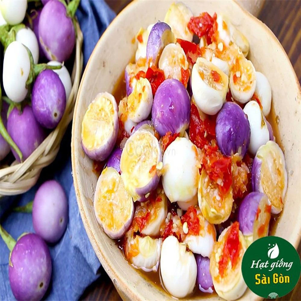 Hạt Giống Cà Pháo Tím - Gói 0.5 gram