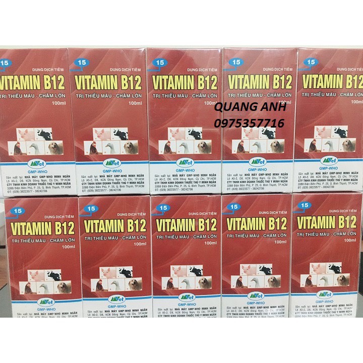 [FreeShip] Phân Bón Vitamin B12 Hoa Cây Cảnh - chai 100ml