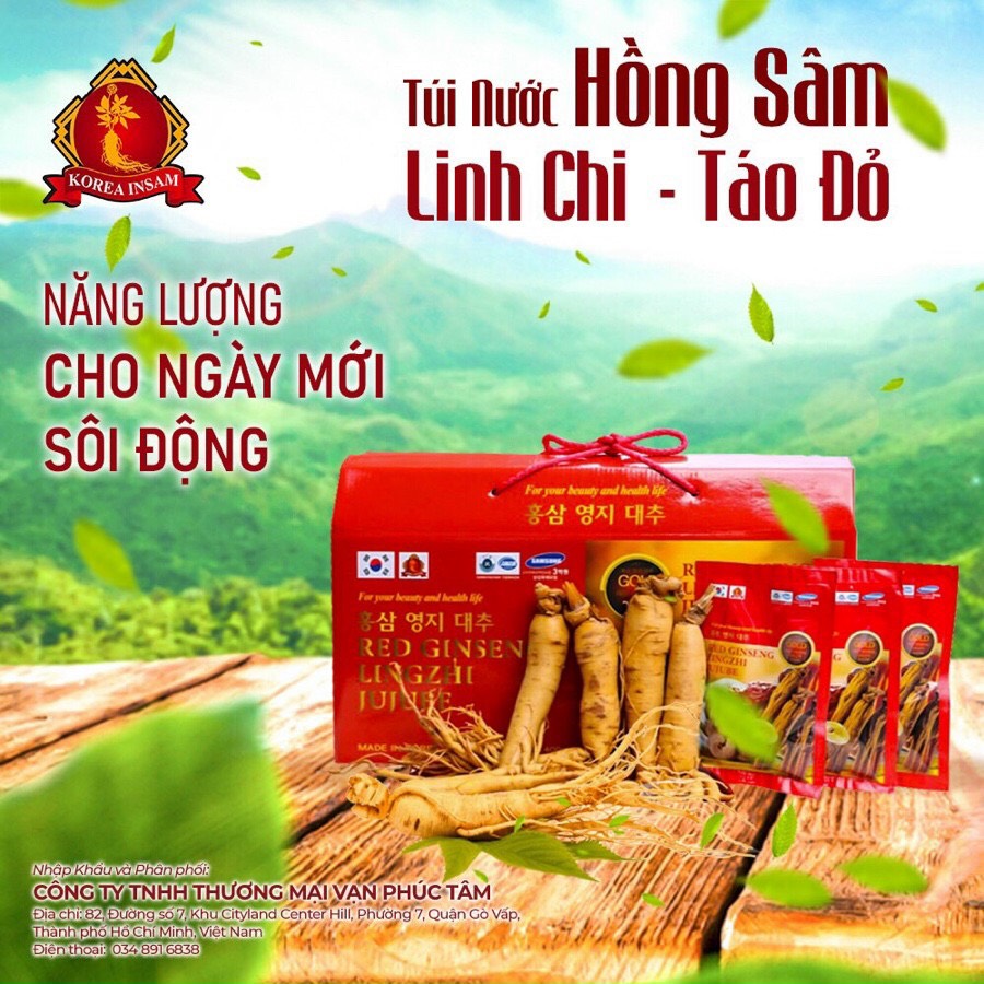 Túi nước hồng sâm linh chi táo đỏ - red ginseng lingzhi jujube gold
