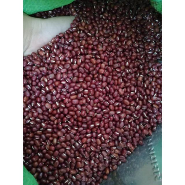 Đậu đỏ nấu chè - 1kg loại ngon