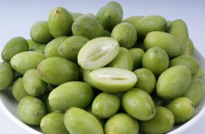 CÂY GIỐNG CÂY TRÁM XANH (TRÁM TRẮNG, TRÁM CHUA )