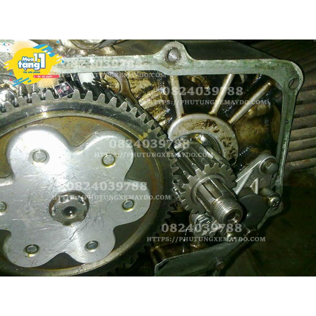 Nhông Hú Cd 81 17T- 18T