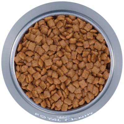 [2kg] Royal Canin Kitten Thức ăn hạt cho mèo con