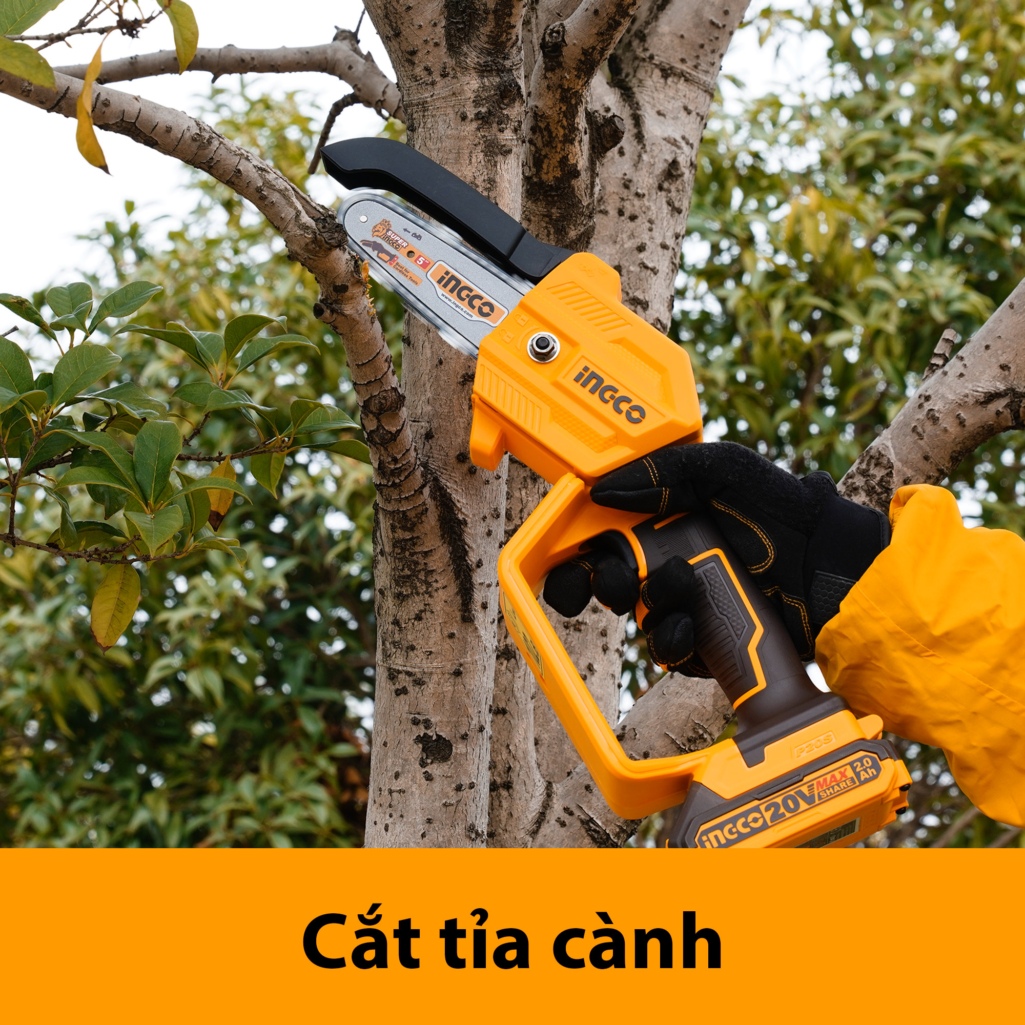 Thân máy cưa cành dùng pin INGCO CGSLI2058 (chưa bao gồm pin và sạc)