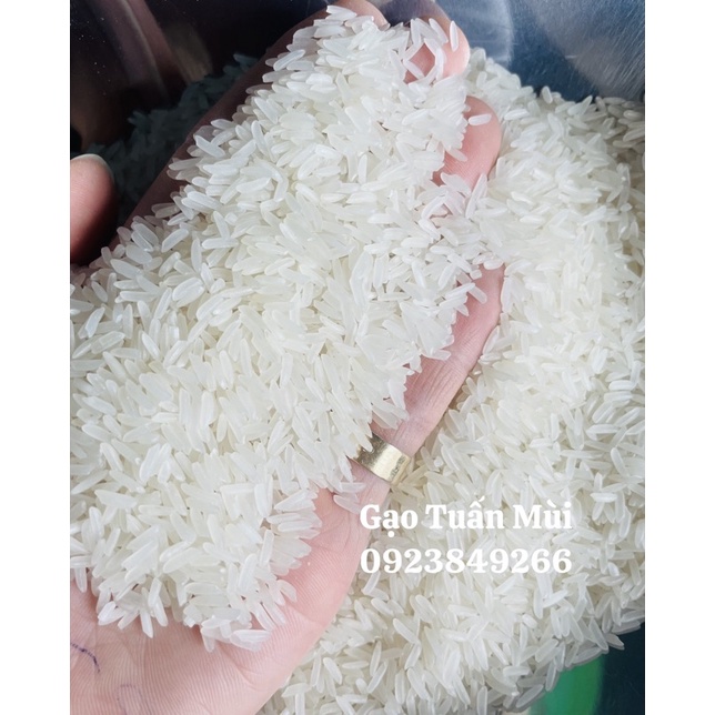 Gạo Tám Xoan Hải Hậu (Bao 10ky)