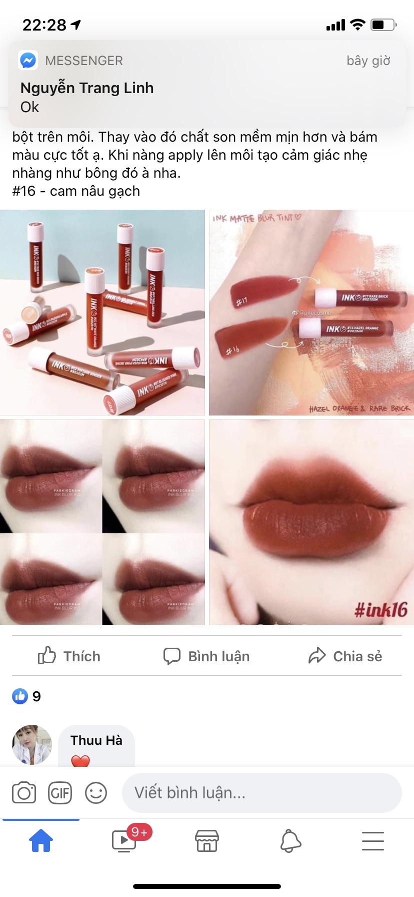 Son ink Matte Blur Tint