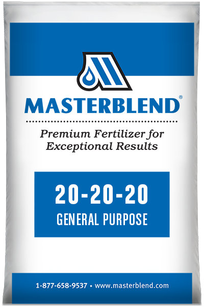 Masterblend 19-19-19 : phân bón cây ăn trái bao 5kg