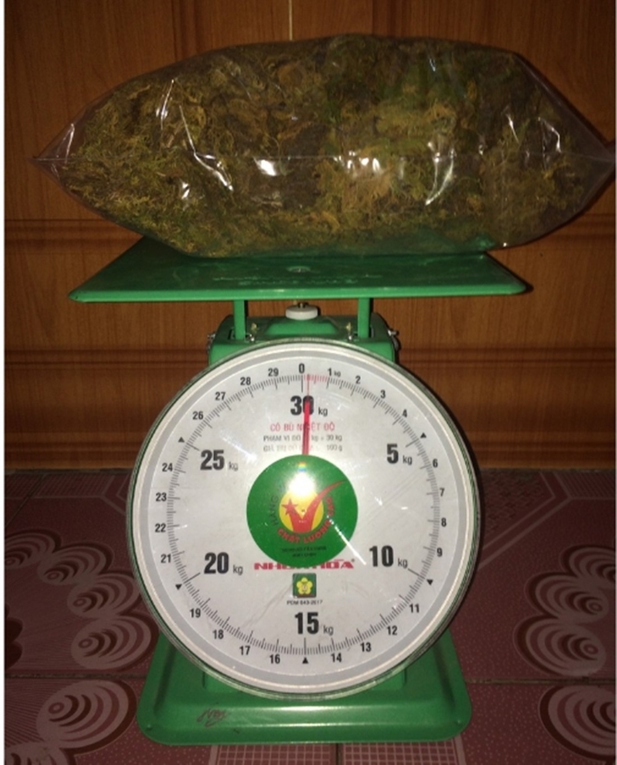 Rêu rừng khô 500g - Hàng chuẩn
