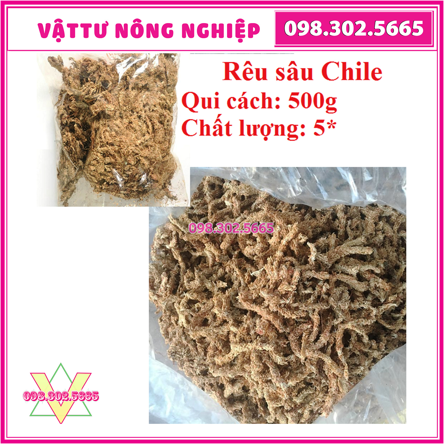 Gói 500g Rêu con sâu Chile nhập khẩu kháng nấm bệnh - Giá thể giữ ẩm tuyệt vời cho phong lan( hay còn gọi là rêu sâu)