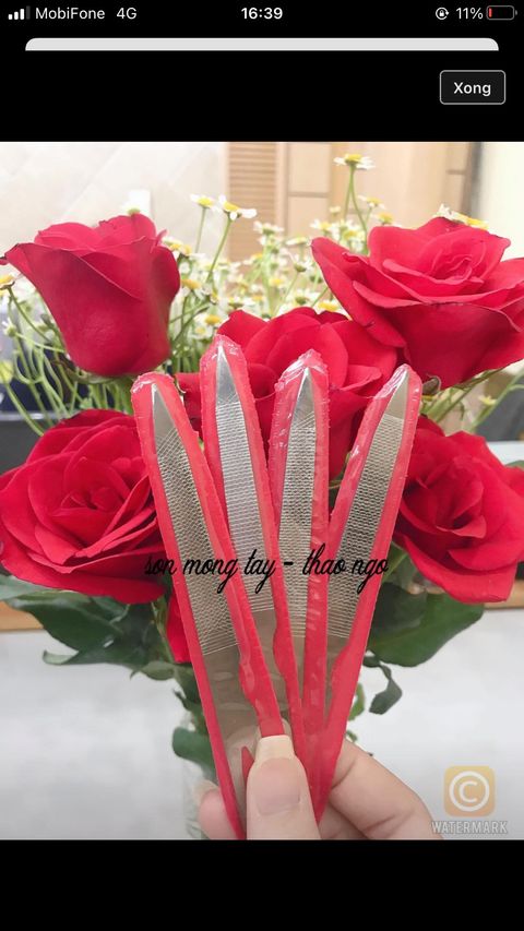 Combo 2 dũa móng sắt