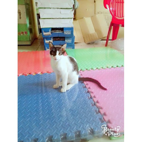 BỘ 20 MIẾNG Thảm Xốp Lót Sàn vân khế
