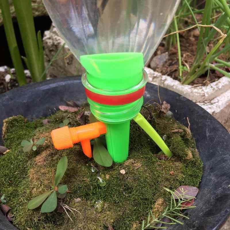 Hệ Thống Tưới Nhỏ Giọt Tự Động