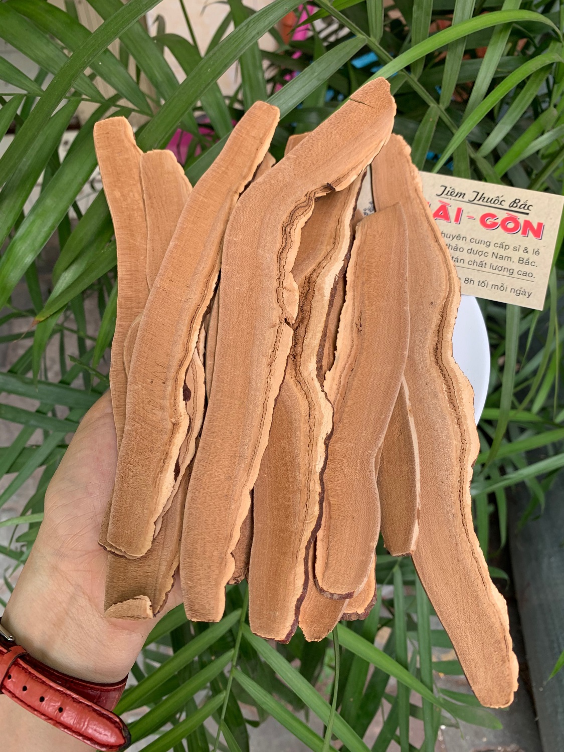 [HCM]Nấm Linh Chi Hàn Quốc Thái Lát 100g