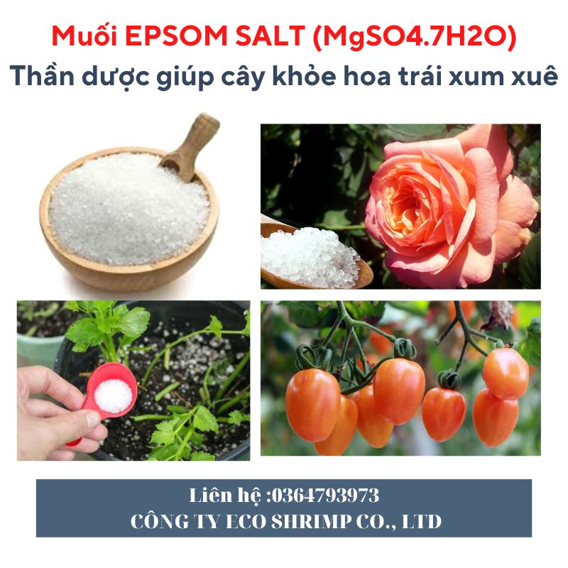Muối epsom salt 1kg cho cây trồng và các loại rau ăn lá