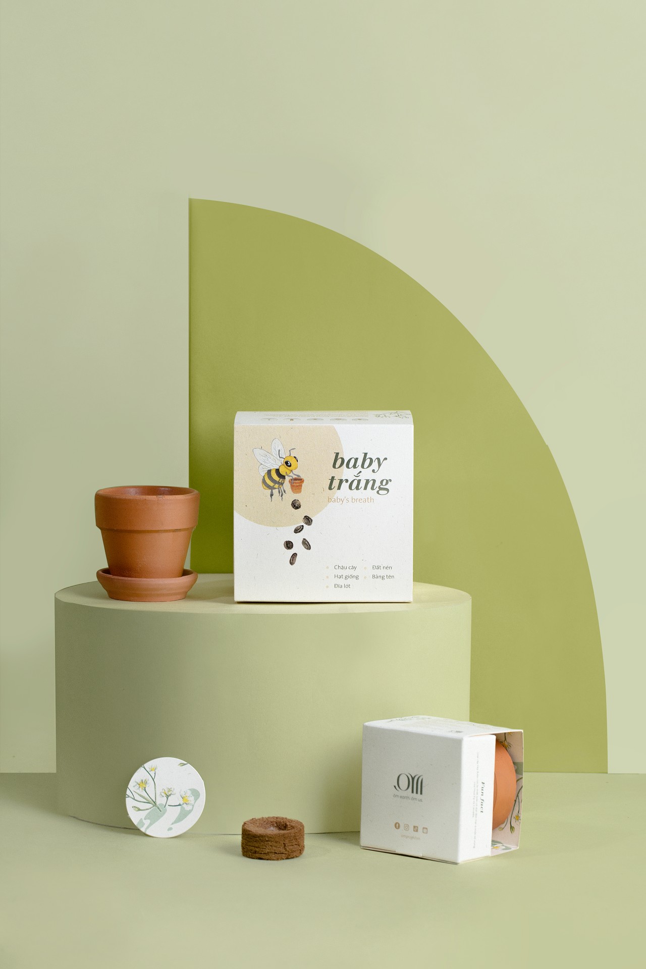 Kit Trồng Cây Mini - Baby trắng