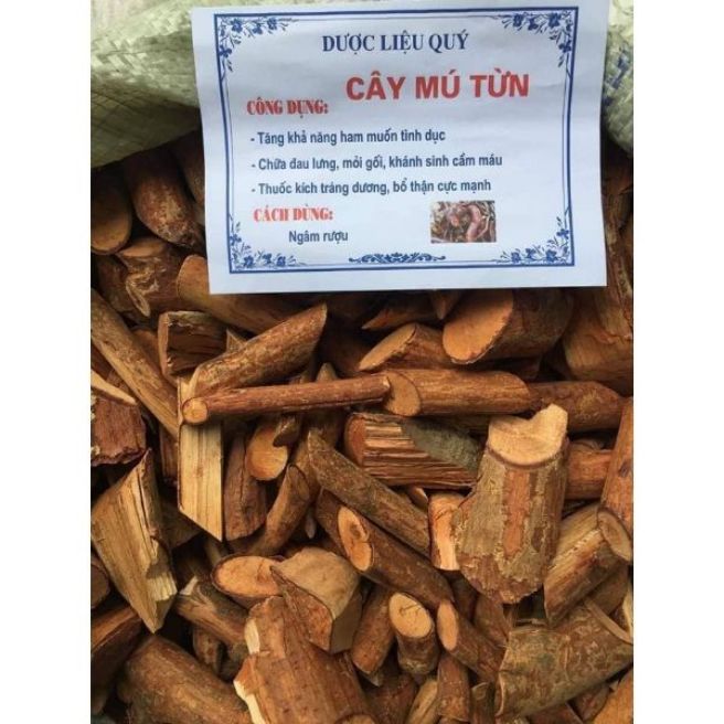 sỉ toàn quốc 1,5kg cây mú từn