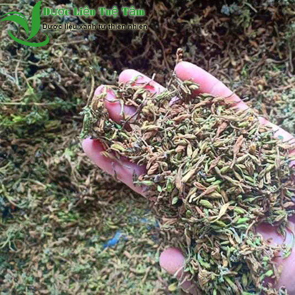 [HCM]500g Hoa đu đủ đực sấy khô