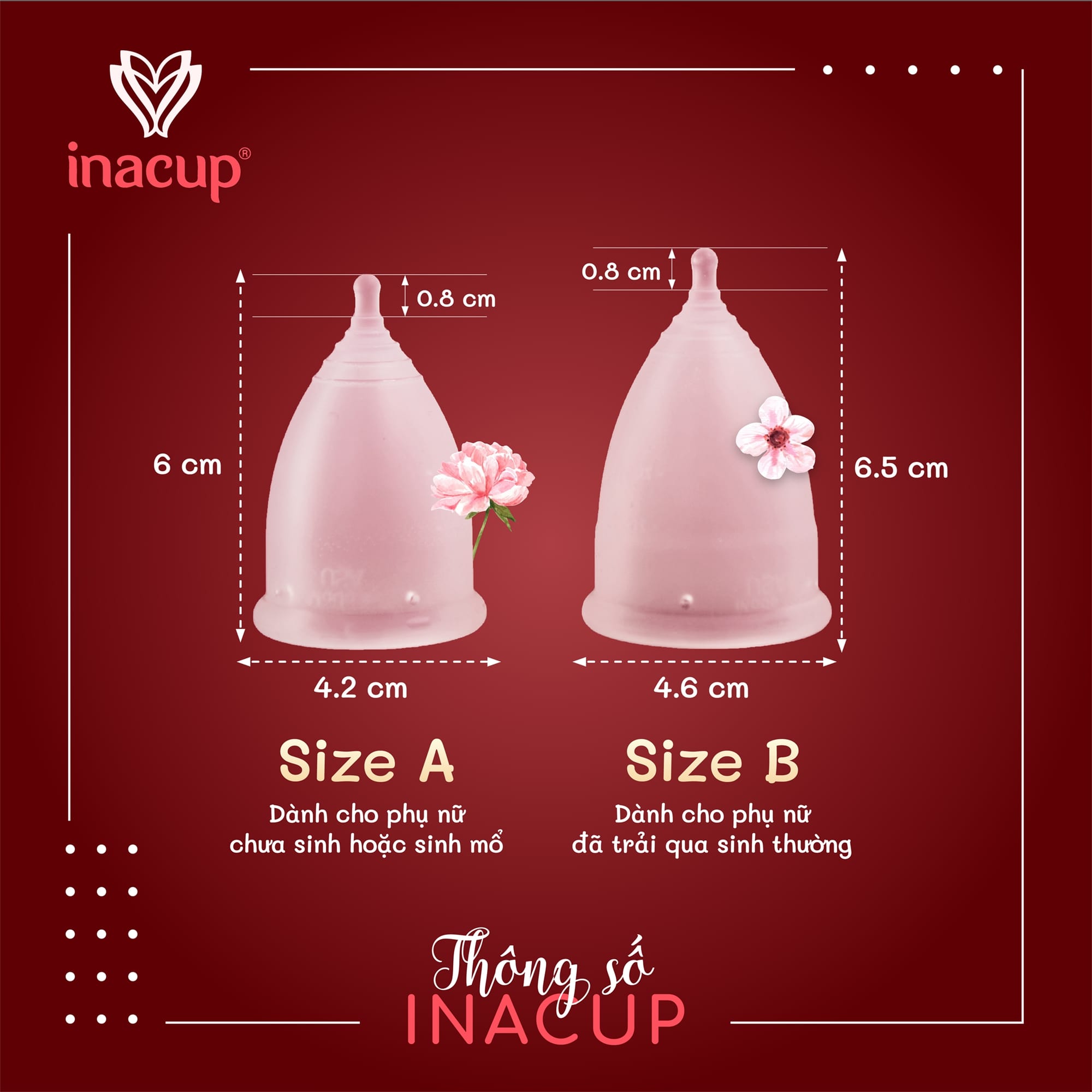 Cốc Nguyệt San Inacup