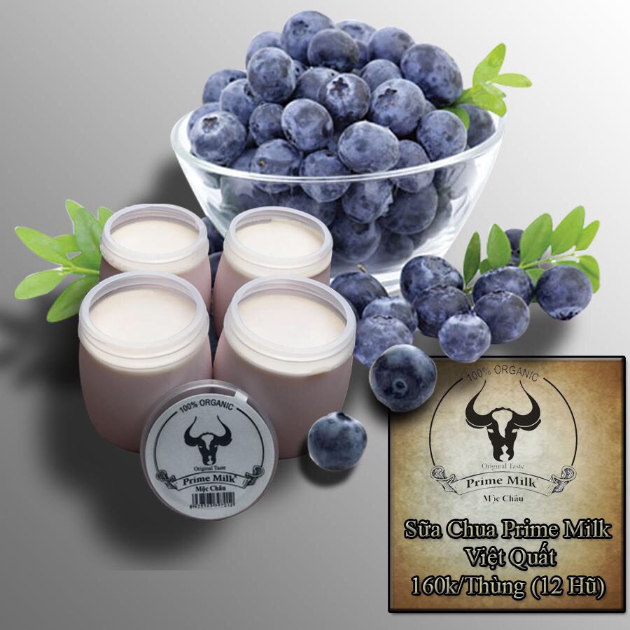 Sữa chua Prime Milk Mộc Châu