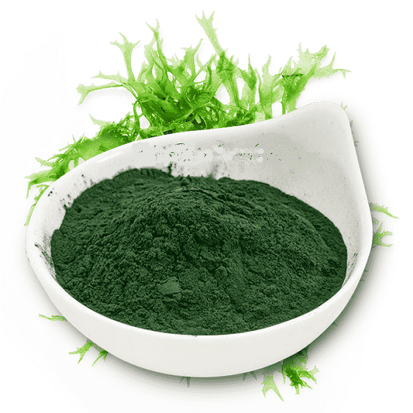 Bột tảo xoắn Spirulina Nhật bản nguyên chất- trắng, săn chắc, chống lão hoá (50gr~100gr)