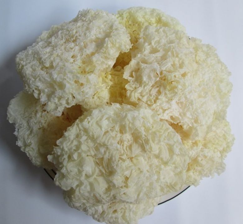 100 Grams of Dried Snow Mushrooms