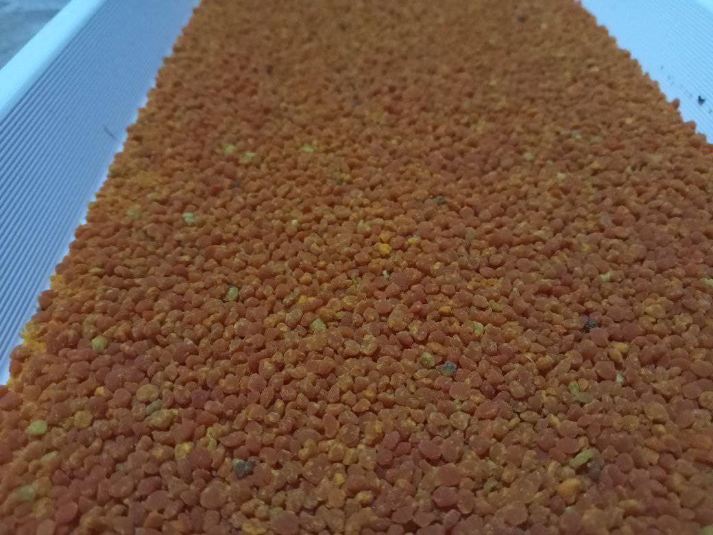 1kg Phấn ong đỏ cỏ kim