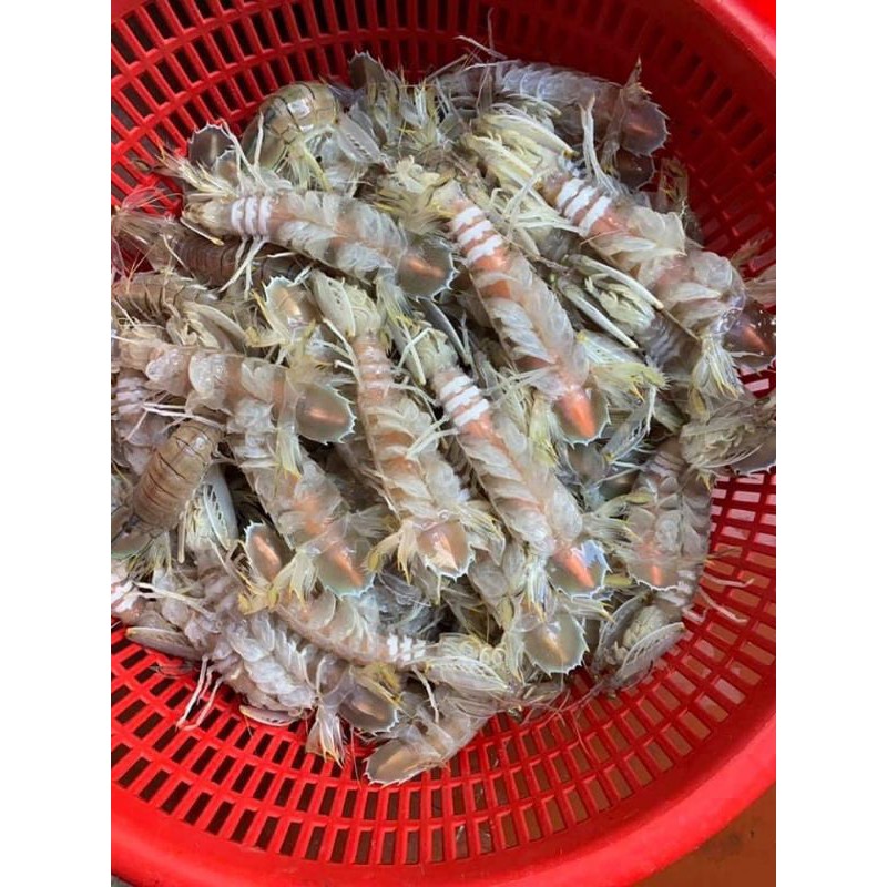 Bề Bề Trứng Bóc Nõn 500G Hải Sản Cát Bà ( Giao Cấp Tốc Nội Thành Hà Nội)