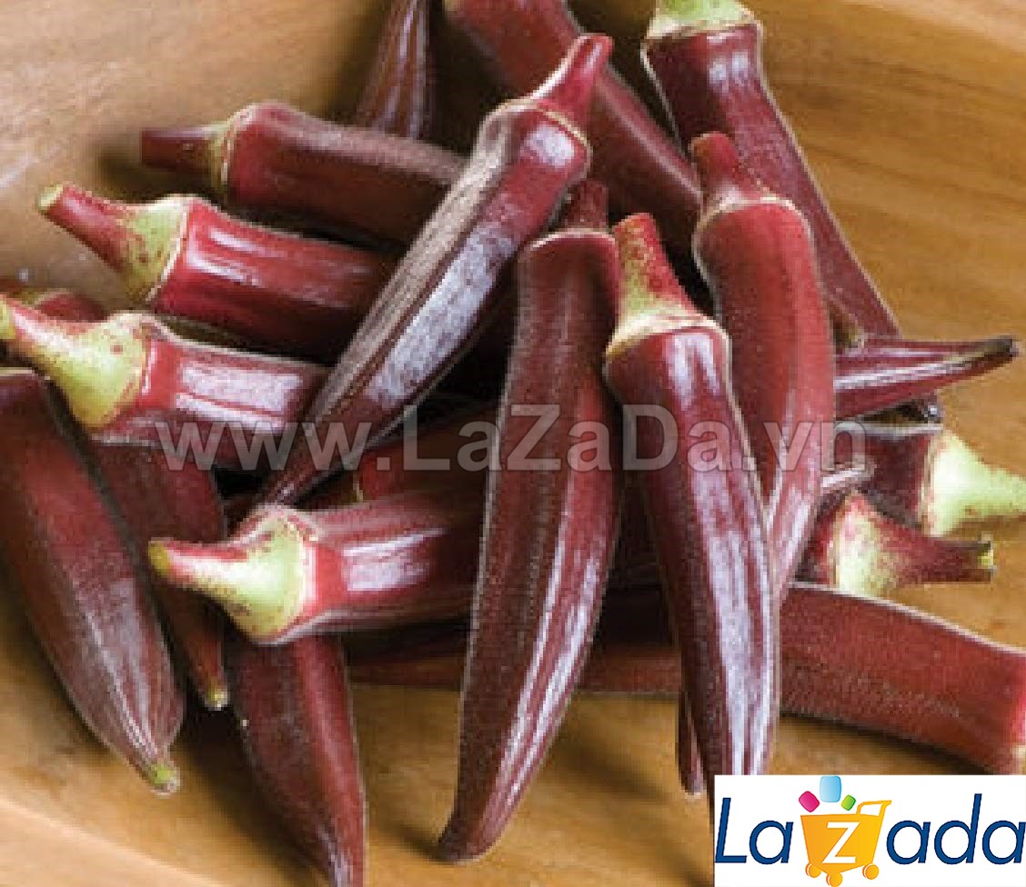 5Gr Hạt Giống Đậu Bắp Đỏ Chịu Nhiệt Burgundy (A1.106| G8*X54*M157)