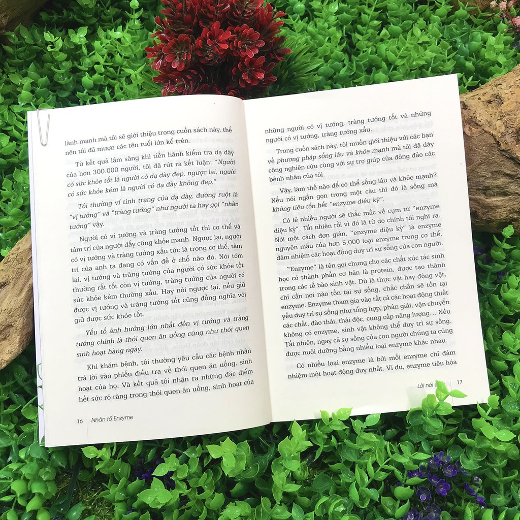 Sách - Nhân Tố EnZyme - 1. Phương thức sống lành mạnh [Thái Hà Books]