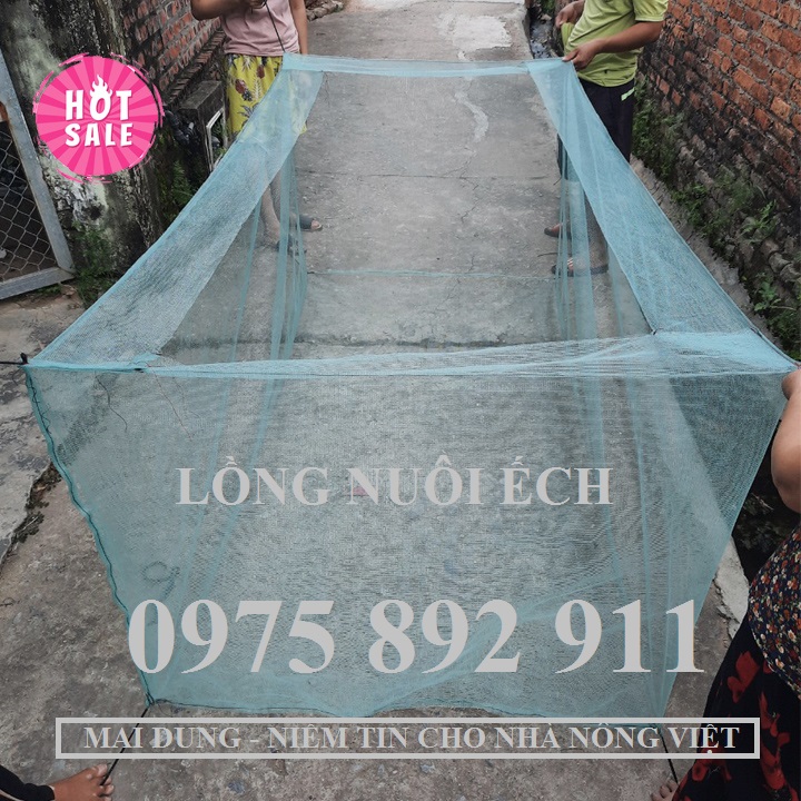 Lồng tráng nuôi ếch
