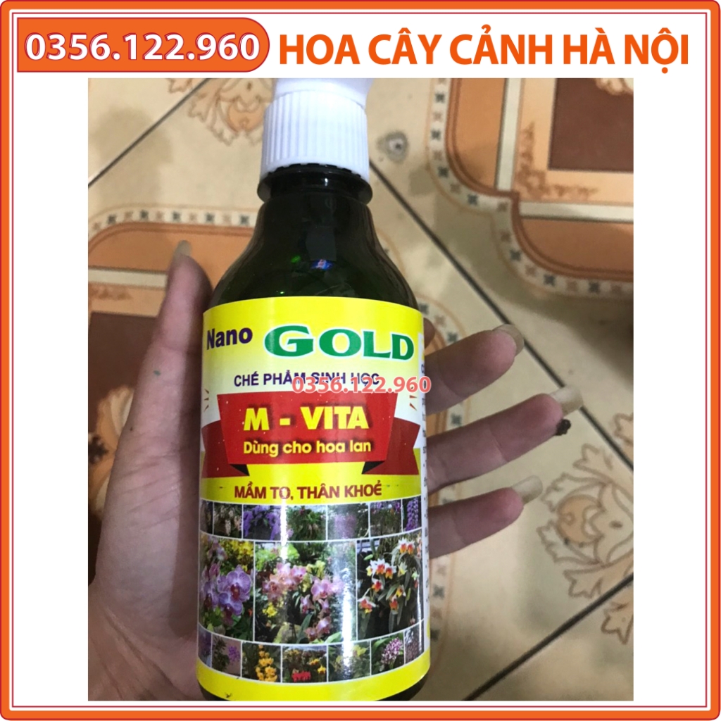 Chế phẩm sinh học dạng chai xịt kích mầm to, thân khỏe M-VITA nano GOLD dùng cho hoa lan, phong lan Chế phẩm sinh học dạng chai xịt kích mầm to, thân khỏe M-VITA nano GOLD dùng cho hoa lan, phong lan