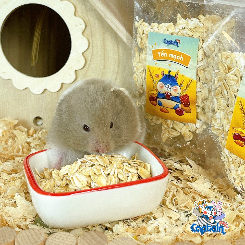 Đồ Ăn Vặt Cho Hamster - Yến mạch nguyên hạt - Bách hóa Hamster