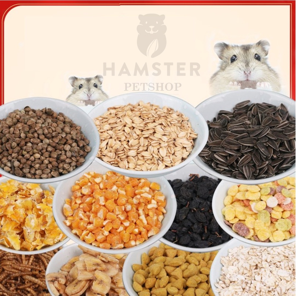 Đồ ăn thử cho các bé hamster ,  ,  , sóc