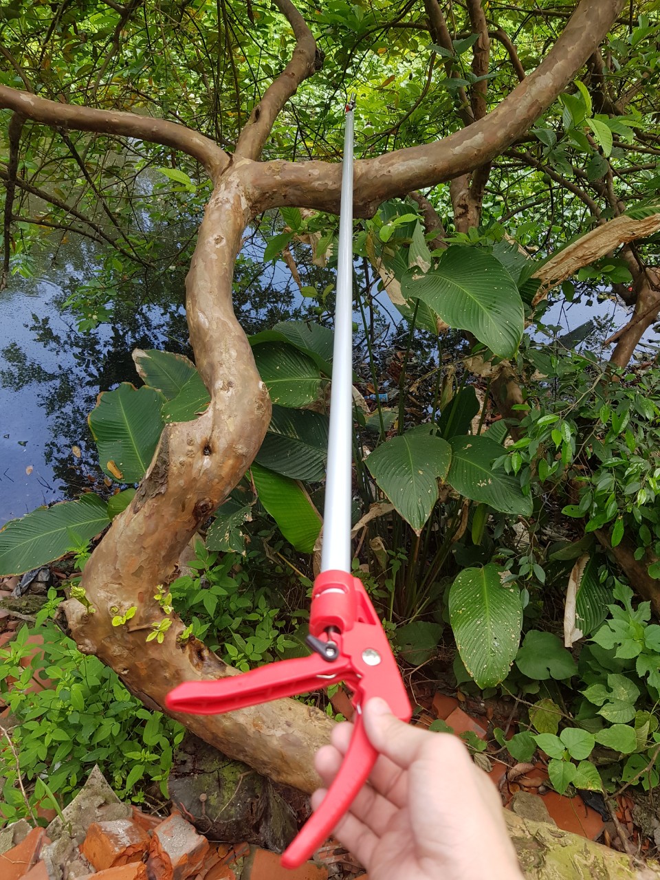 Kéo cắt cành trên cao