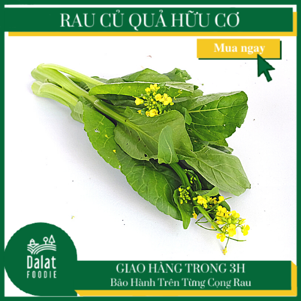 Cải Ngồng 250G - [Giao ngay tại TPHCM]