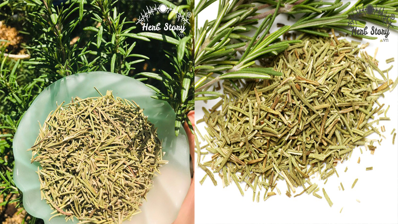 Hương Thảo (Rosemary)