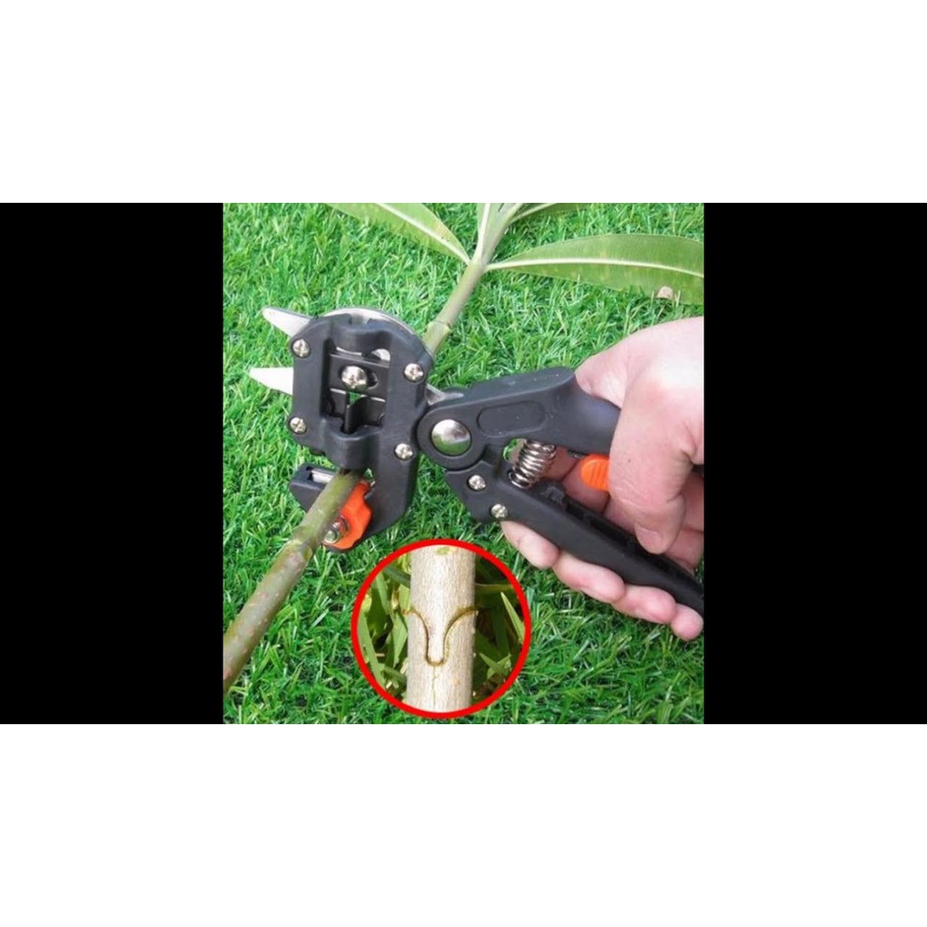 Kéo chiết ghép cành đa năng Top