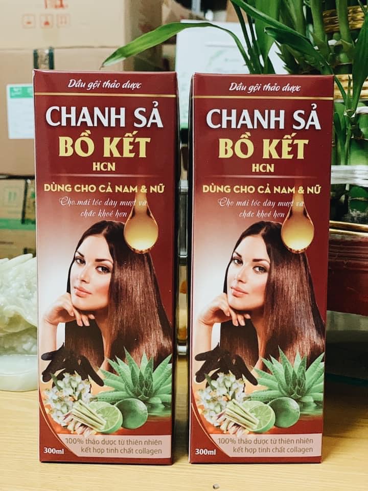 Dầu gội phủ tóc bạc đen - nâu thảo dược bibop nhật bản | thành phần 100% thảo dược | chính hãng | 500ml