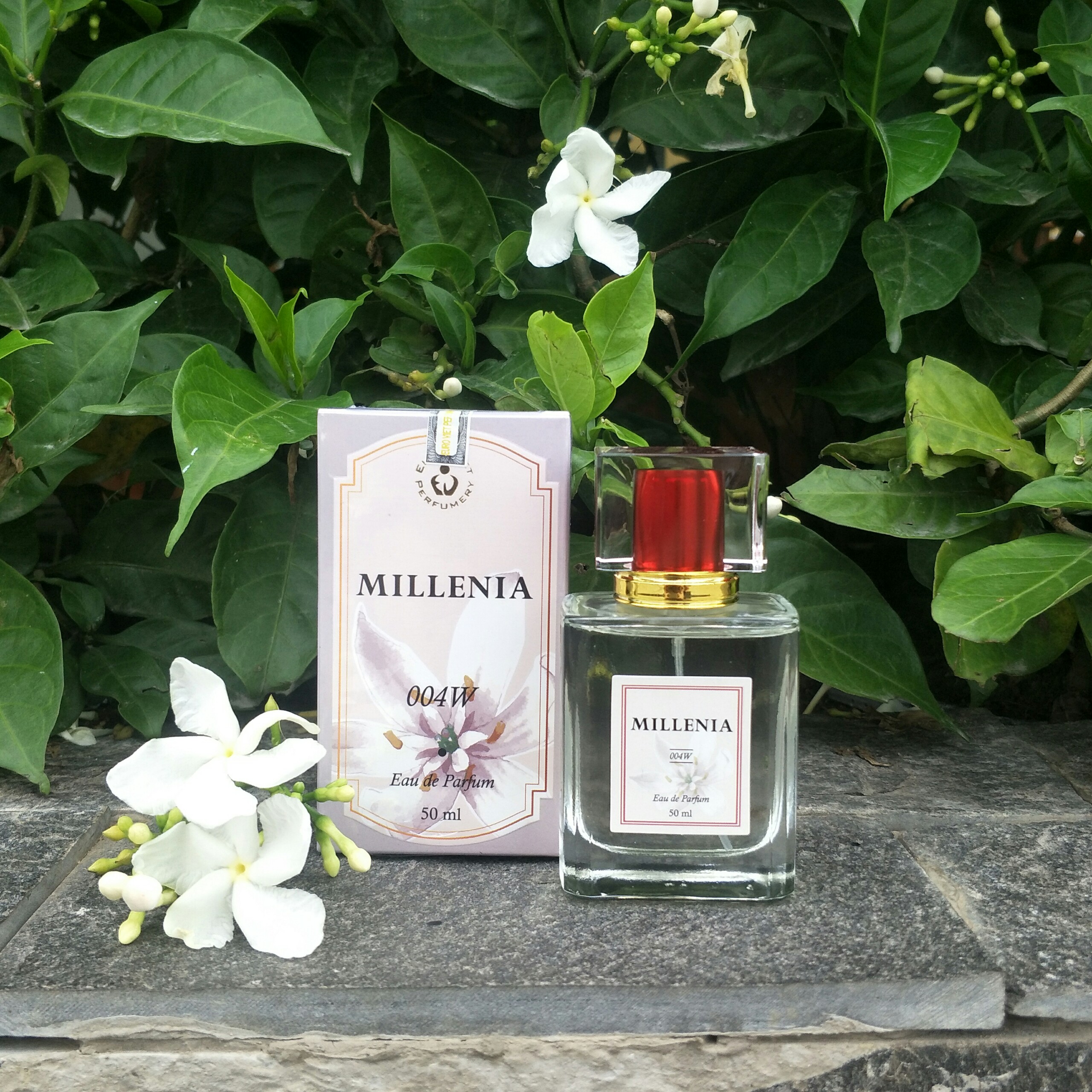 [HCM]Nước hoa MILLENIA 004W (Inspired by Marc Jacobs Daisy)