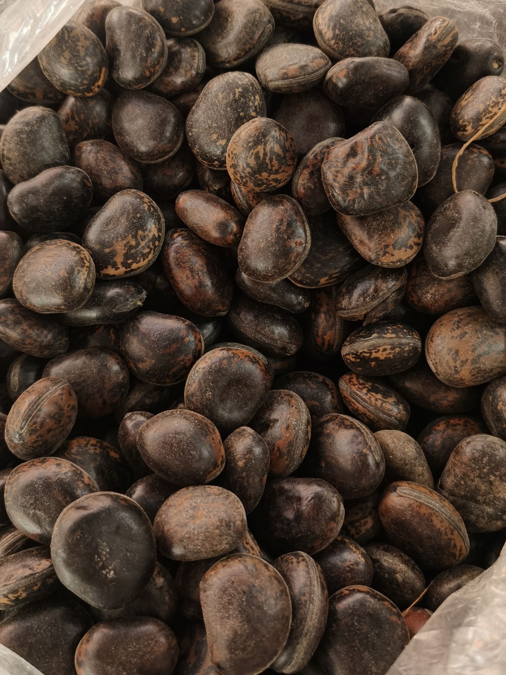 Hạt Đậu Lào, Hạt Hút Nọc Độc (500gram) - Đặc Sản 27
