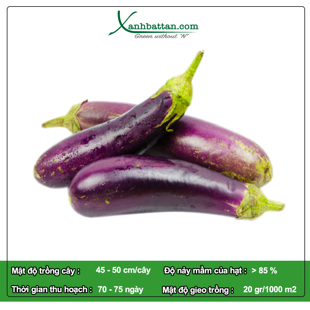 Hạt Giống Cà Tím Dài Phú Nông Gói 0,2 Gram