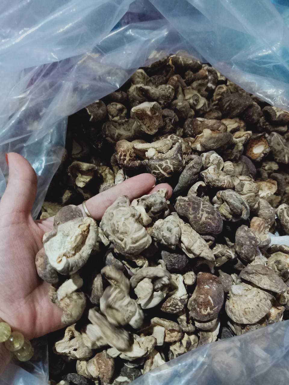 BÔNG NẤM HƯƠNG KHÔ (bông nhỏ )