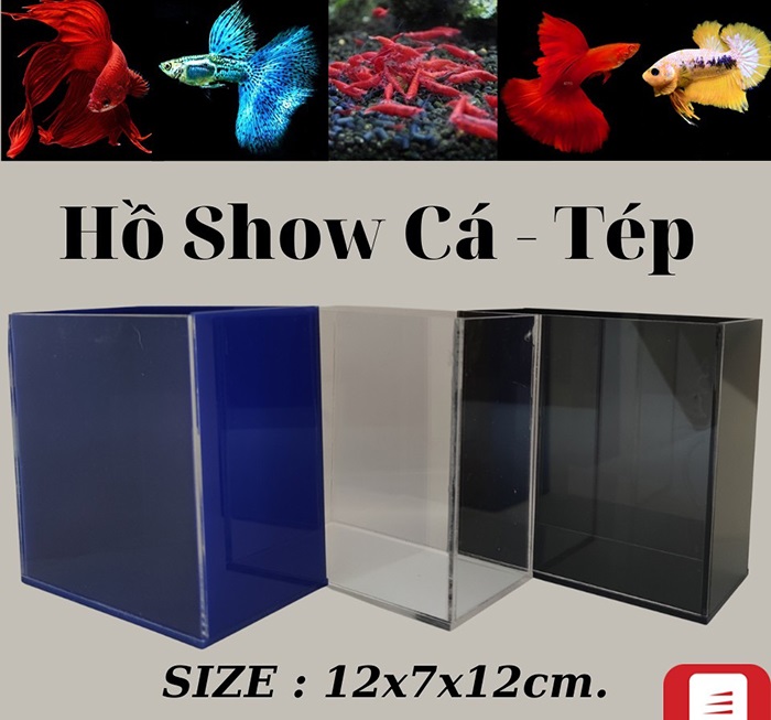 Hồ Show Acrylic Siêu Trong, Betta, Guppy