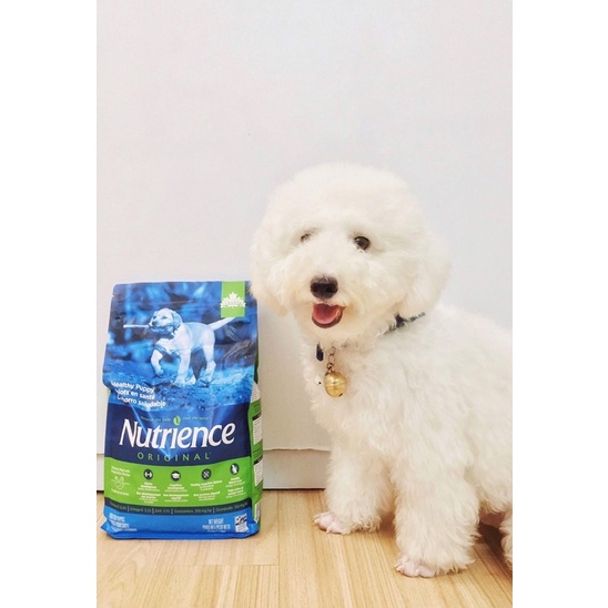 Hạt Nutrience Cho Chó Con - Gà & Rau Củ Quả